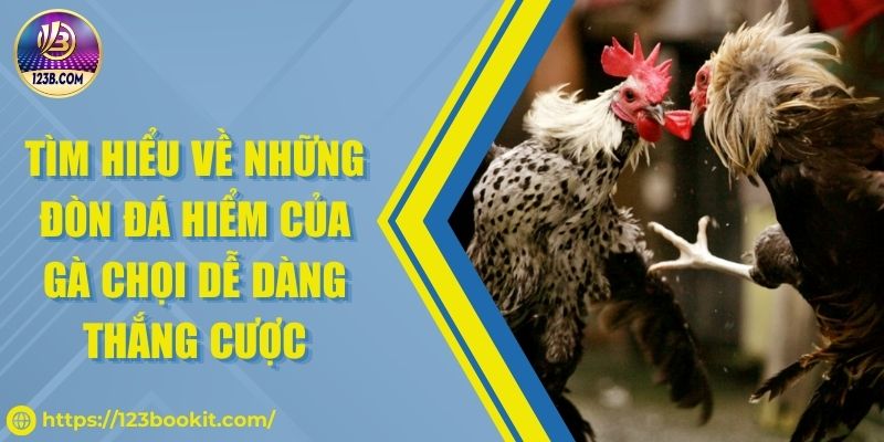 Tìm hiểu về những đòn đá hiểm của gà chọi dễ dàng thắng cược