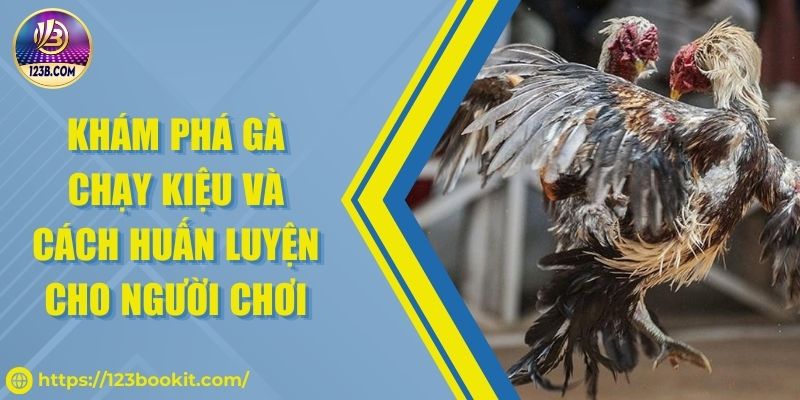 Khám phá gà chạy kiệu và cách huấn luyện cho người chơi