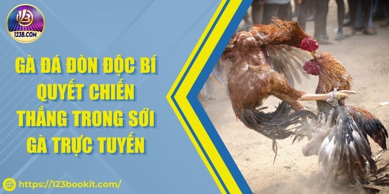 Gà Đá Đòn Độc Bí Quyết Chiến Thắng Trong Sới Gà Trực Tuyến