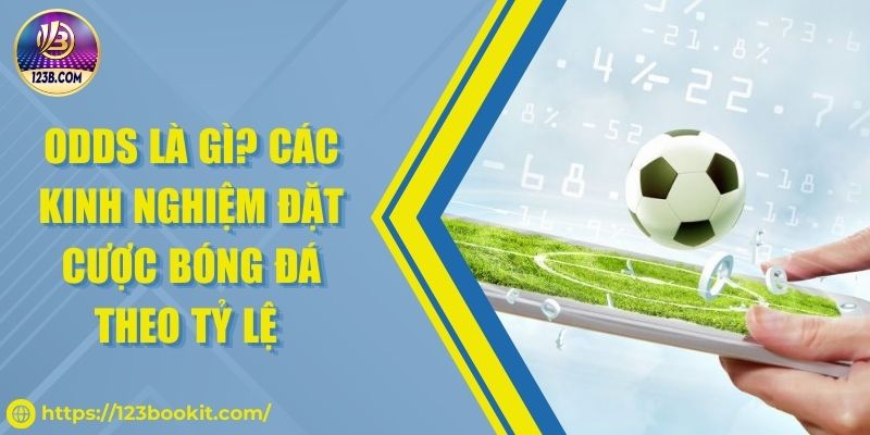 Odds Là Gì? Các Kinh Nghiệm Đặt Cược Bóng Đá Theo Tỷ Lệ